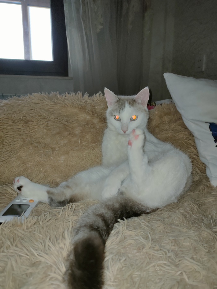  , ,  , , 