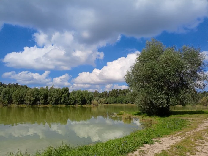 Wake on Lebyazhye - My, Wakeboarding, Kazan, Lebyazhye, Lake, Summer, Good weather, Good mood, Nature, Friday tag is mine, The photo, Mobile photography, Video, Soundless, Longpost