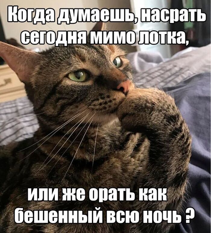      , , ,   