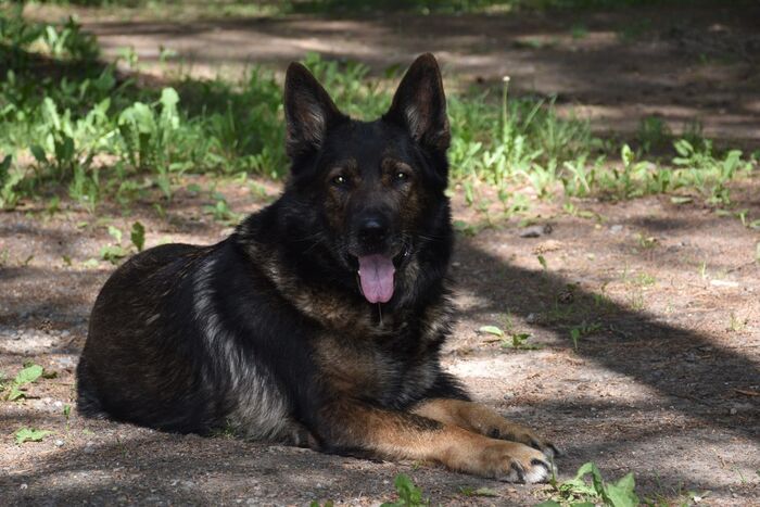 Ну и вот мой старшенький. 8 лет