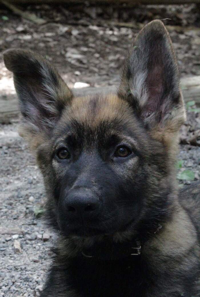 А вот оно в 3 месяца