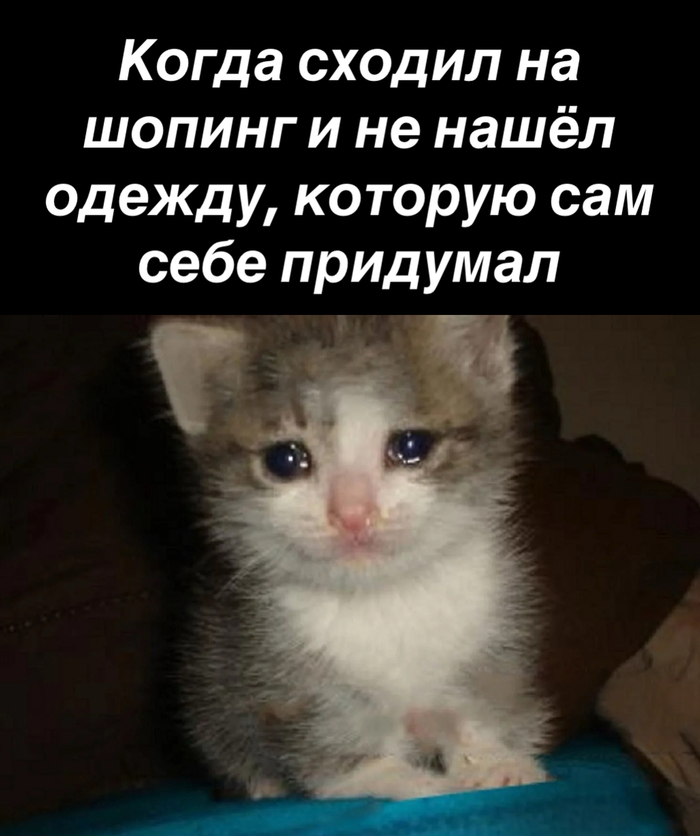    , , , , ,  , Telegram ()