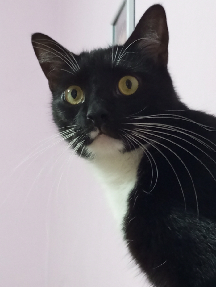 � ����� ��� �� ������� ��������