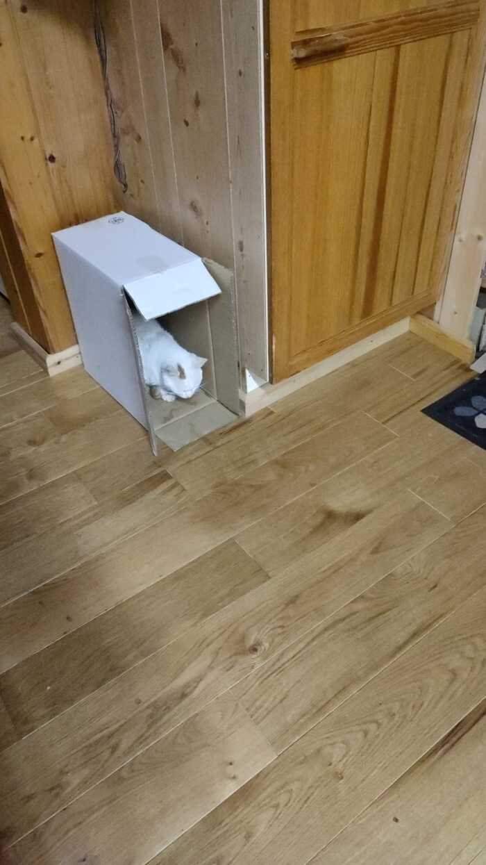   -  , , ,  , 