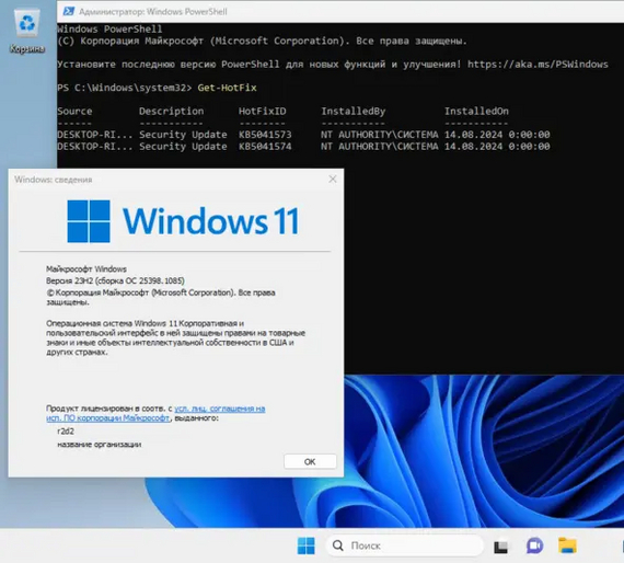 A unique version of Windows 11 based on Windows Server 23H2 for gamers and old hardware! - My, Program, Google, Hyde, Windows, Longpost