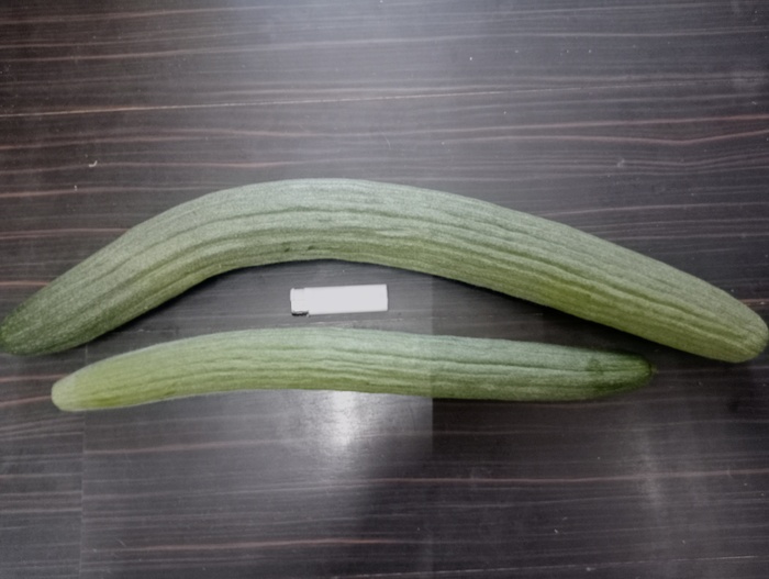  , , , 