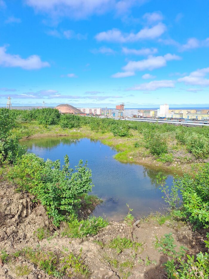 Так же на маршруте небольшие ямы наполненные водой.