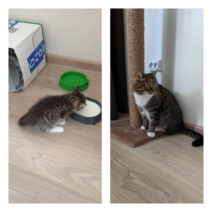 ������ 4 ����