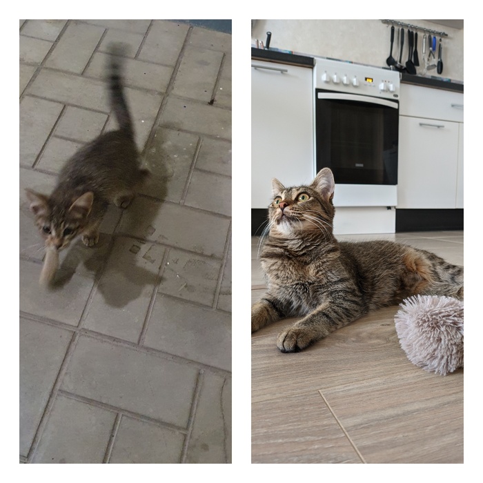 � ����� ����� �������