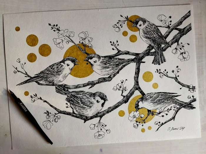 sparrows - My, Graphics, Artist, Drawing, Sparrow, Birds