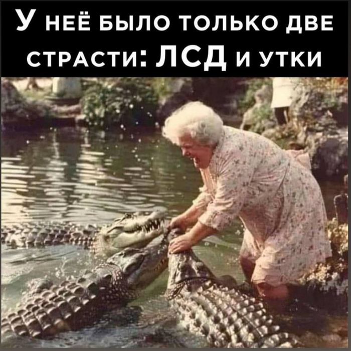  , ) ,  ,   