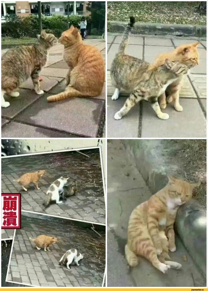  , , 