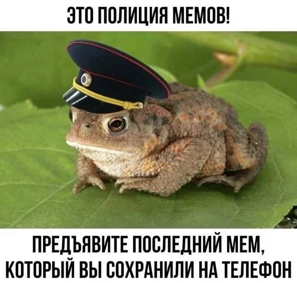 Наконец-то среда - Мемы, Среда, It Is Wednesday My Dudes, Лягушки, Картинка с текстом