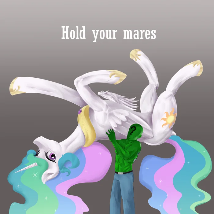 Hold your mares - My Little Pony, Princess Celestia, Anon