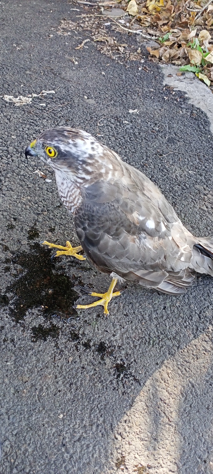 Achievement unlocked ��� �������