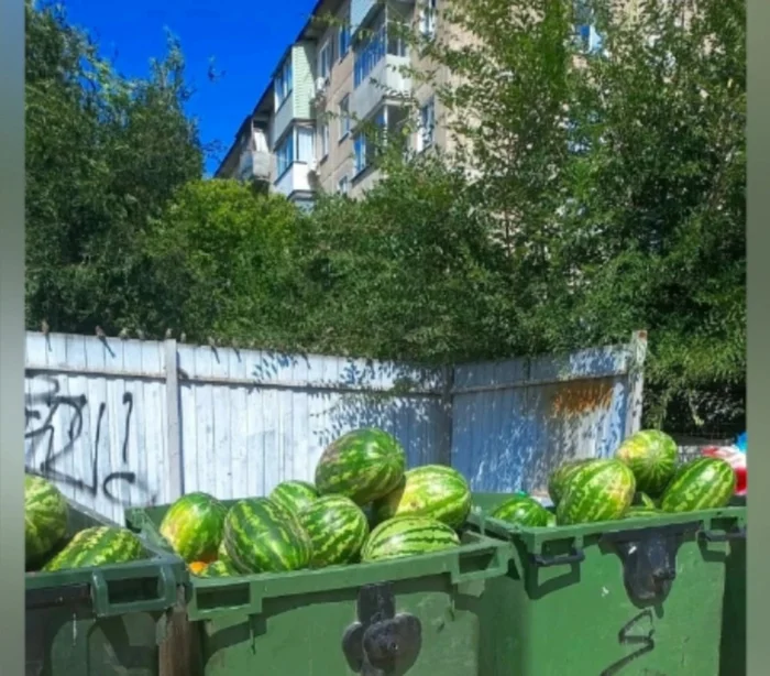 Garbage in Kamyshinsky - My, Kamyshin, Trash can, The photo, Watermelon, The festival, Garbage bins