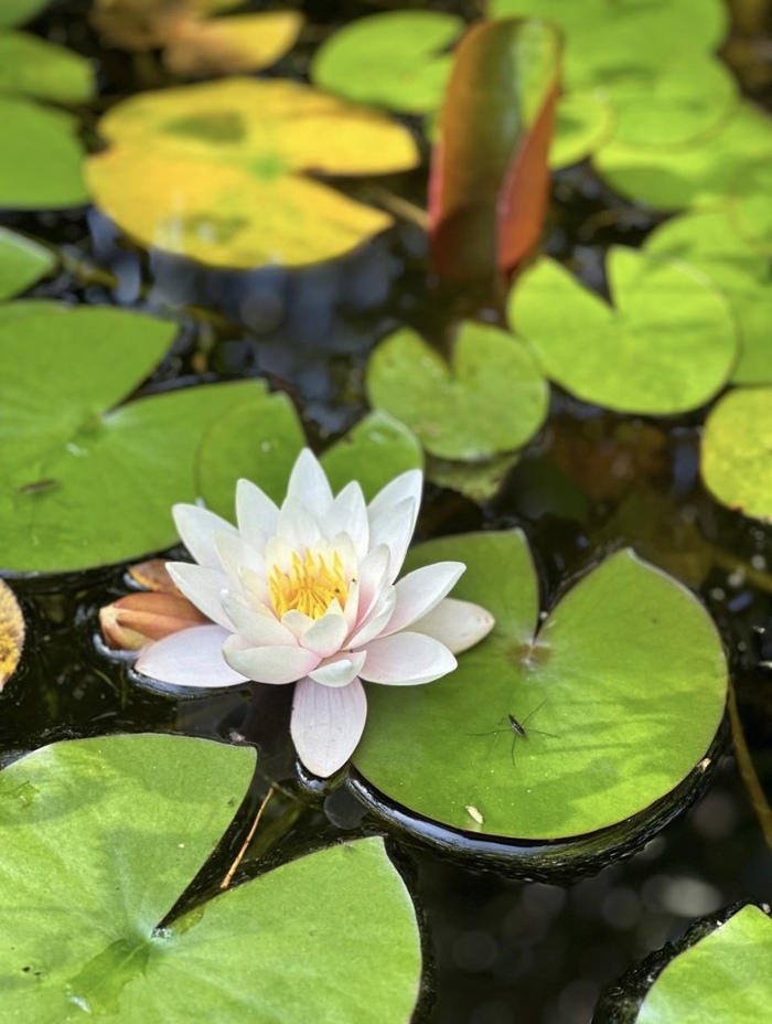 ����� � �������� ����