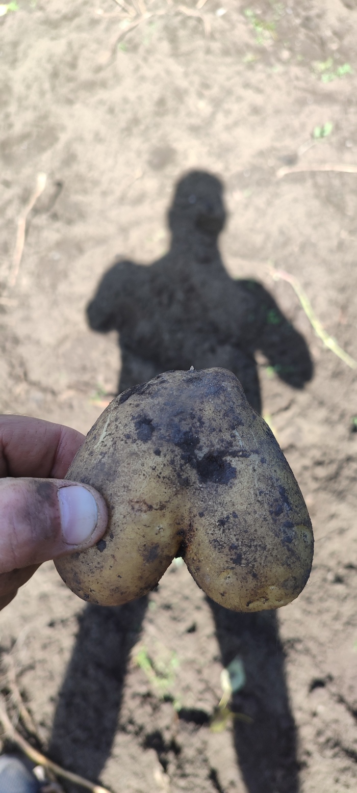 ����� ����� ���...