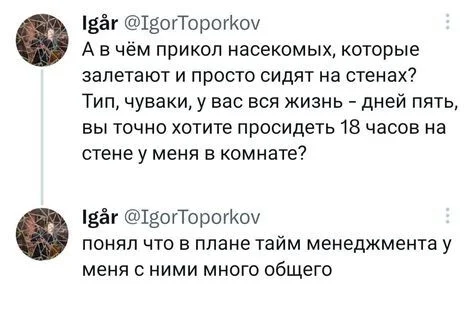 Про насекомышей - Скриншот, Twitter, Юмор, Насекомые, Тайм-Менеджмент