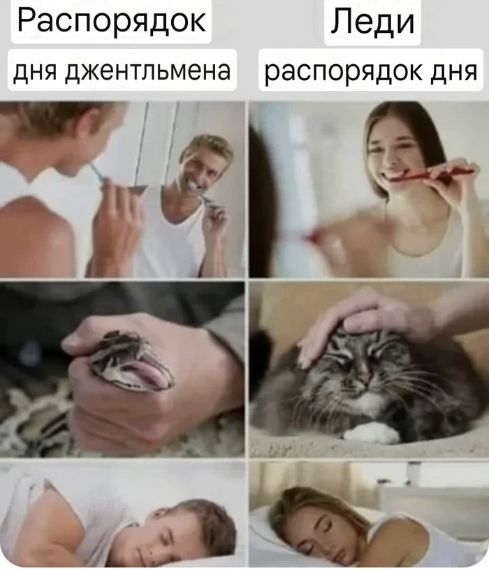   ,   ,  ,   , , , 