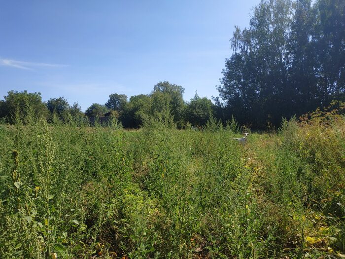 �� ������ ����� ����� ���������, �����������.