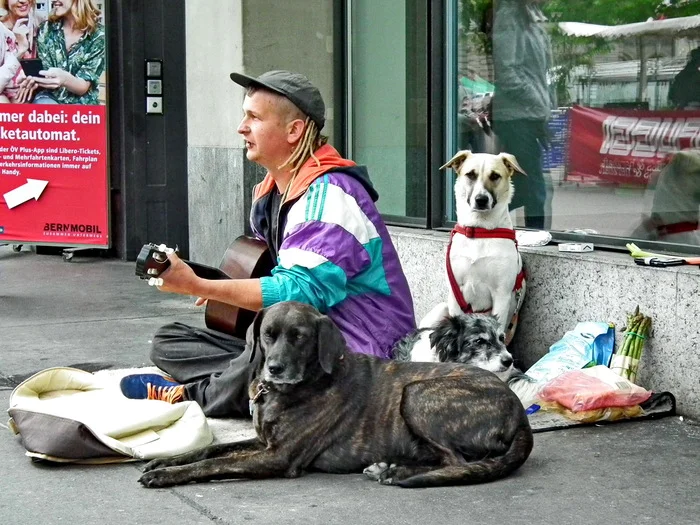 Musician - My, The photo, Travels, Tourism, Street musicians, Street photography, Switzerland, Berne, City walk