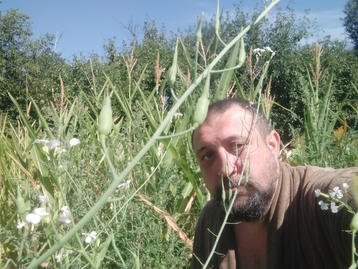 ����� ��� ���, ��� ��������, ��� ������� ����.