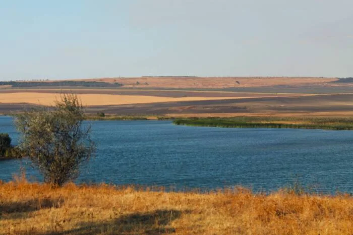 Edge of Summer - My, The photo, Nature, Landscape, Field, Water