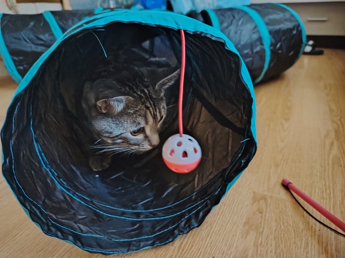 Особенно вот эта погремушка