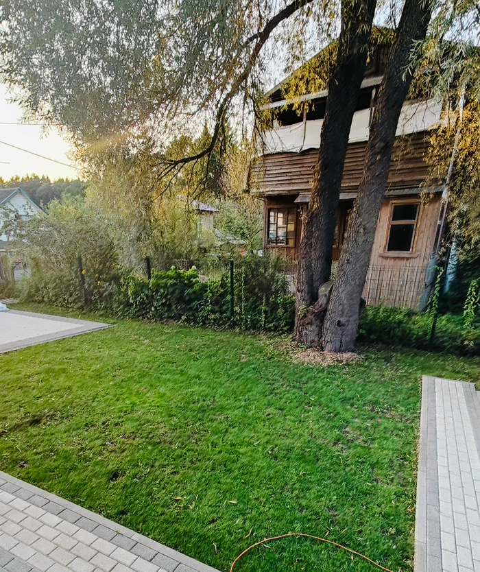 Голландский (так себе вышел, редкий, но его очень любит собака копать)