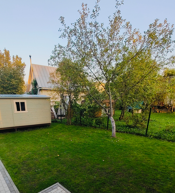 Мятлик+овсяница - растут очень медленно, прилично будет выглядеть только через год.