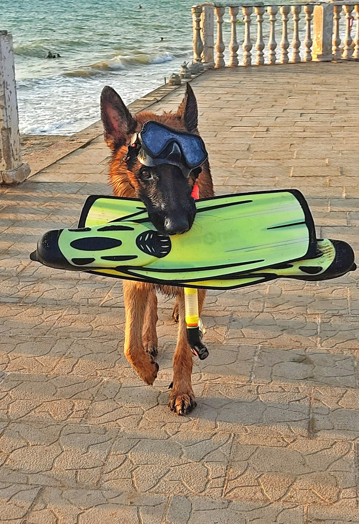 За самый весёлый комментарий - книга в подарок