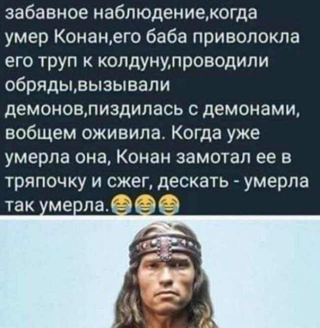 Чем отличается мужской подход от женского - Забавное, Юмор, Скриншот, Картинка с текстом, Конан-варвар, Повтор, Арнольд Шварценеггер, Мат