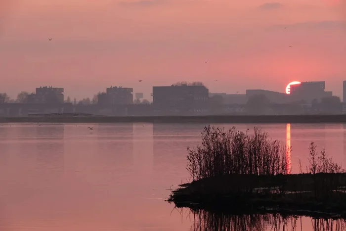 Закат у голландского города Ляйдсхендам - Моё, Фотография, Нидерланды (Голландия), Природа, Закат