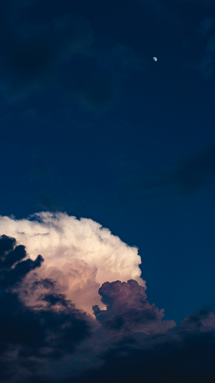 ������ ������������ ����