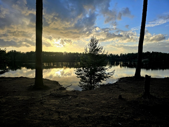 ������ ��������� ����