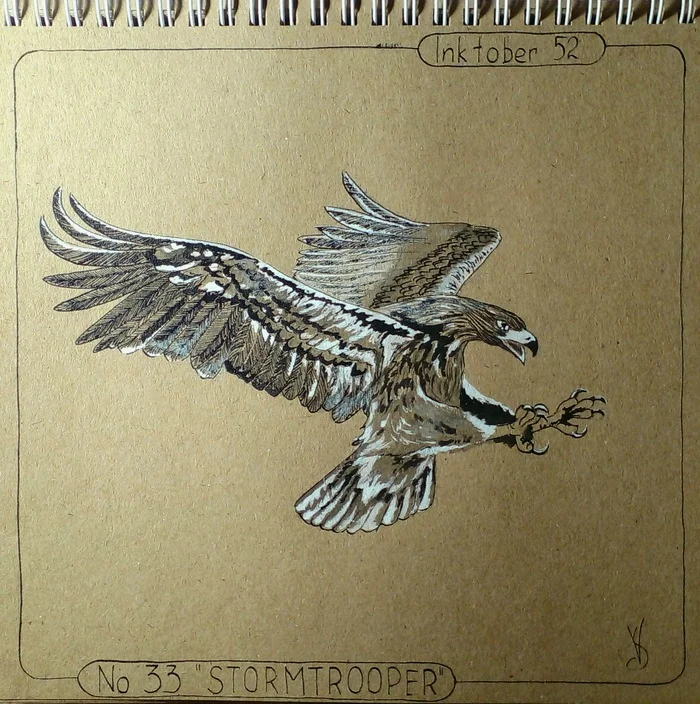 Inktober 52. Week 33 STORMTROOPER - My, Drawing, Inktober, Golden eagle, Mascara, Challenge