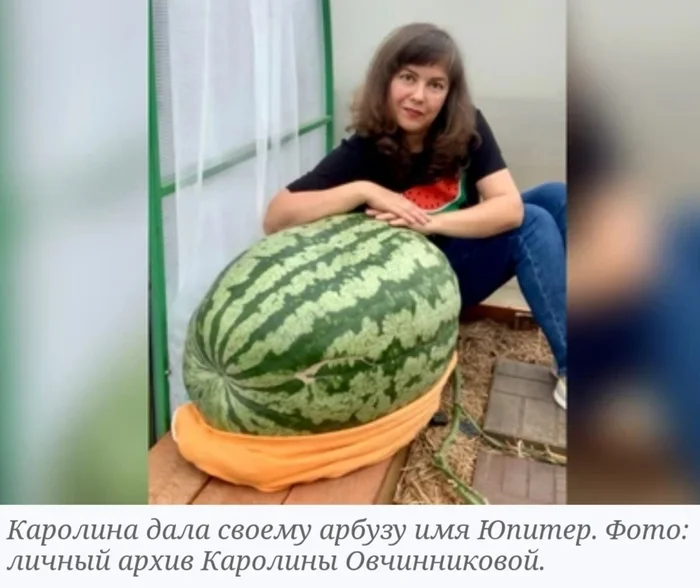 Ural watermelon - Perm Territory, Ural, Watermelon, Record, Book of Records of Russia, Summer residents, Summer resident, Kungur