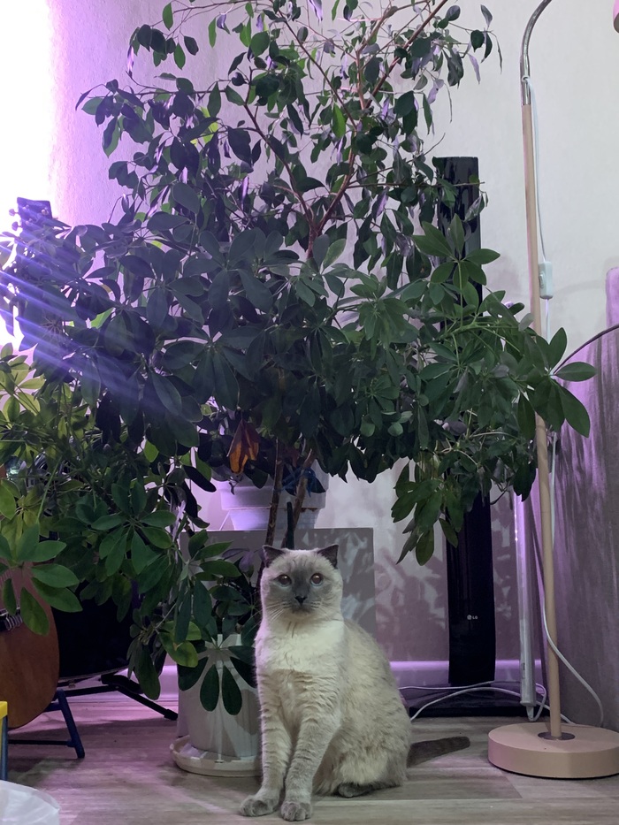 �� ����� ���������� 