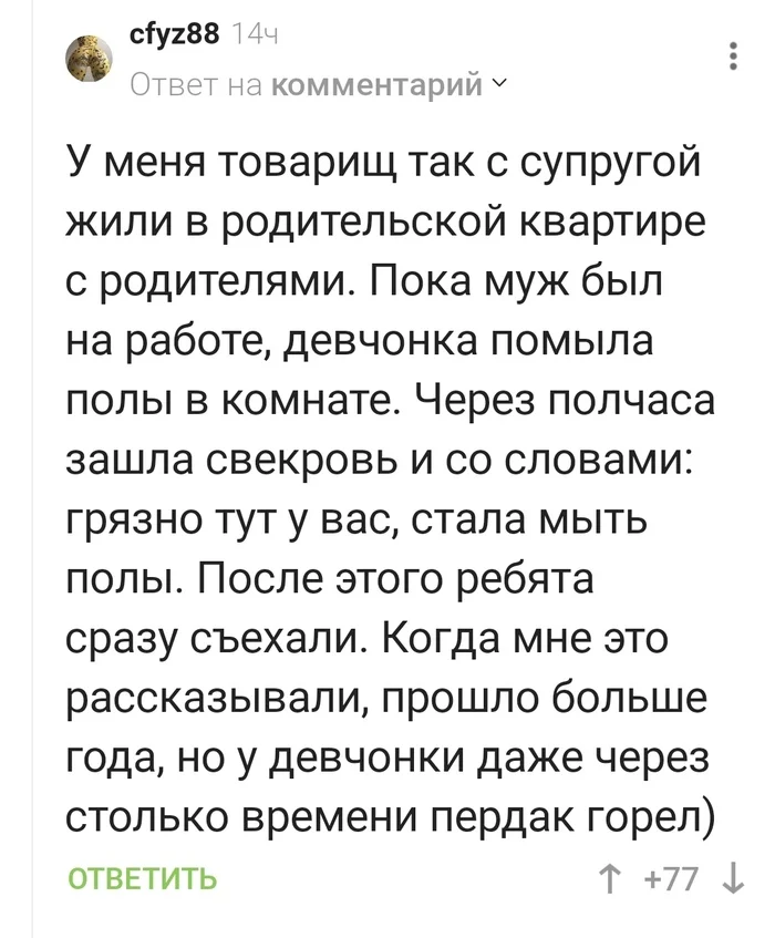 Как победить свекровь? - Свекровь, Уборка, Комментарии на Пикабу, Скриншот