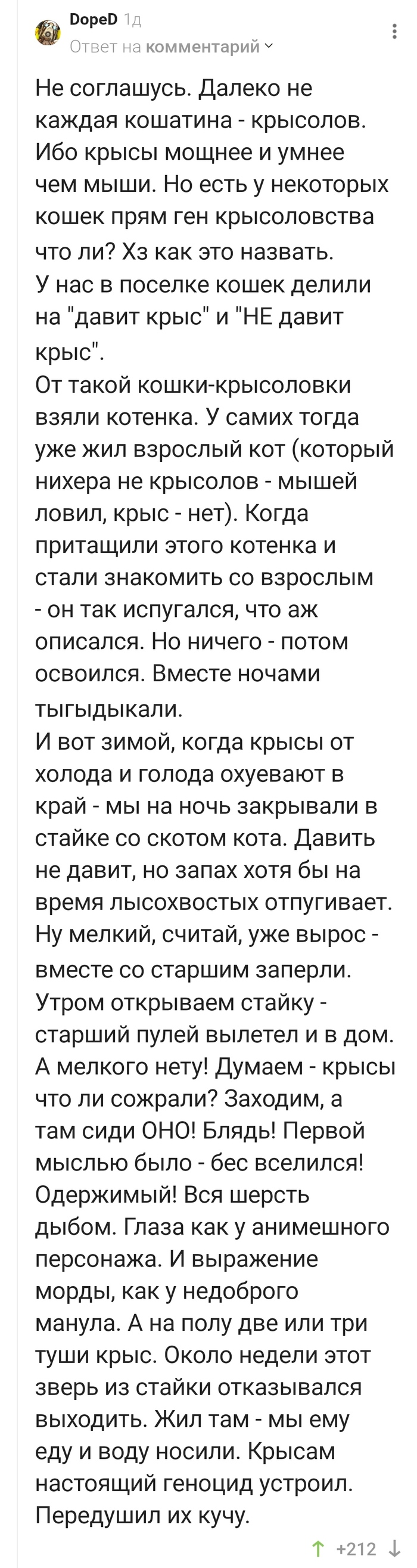 Вот это кошечка!