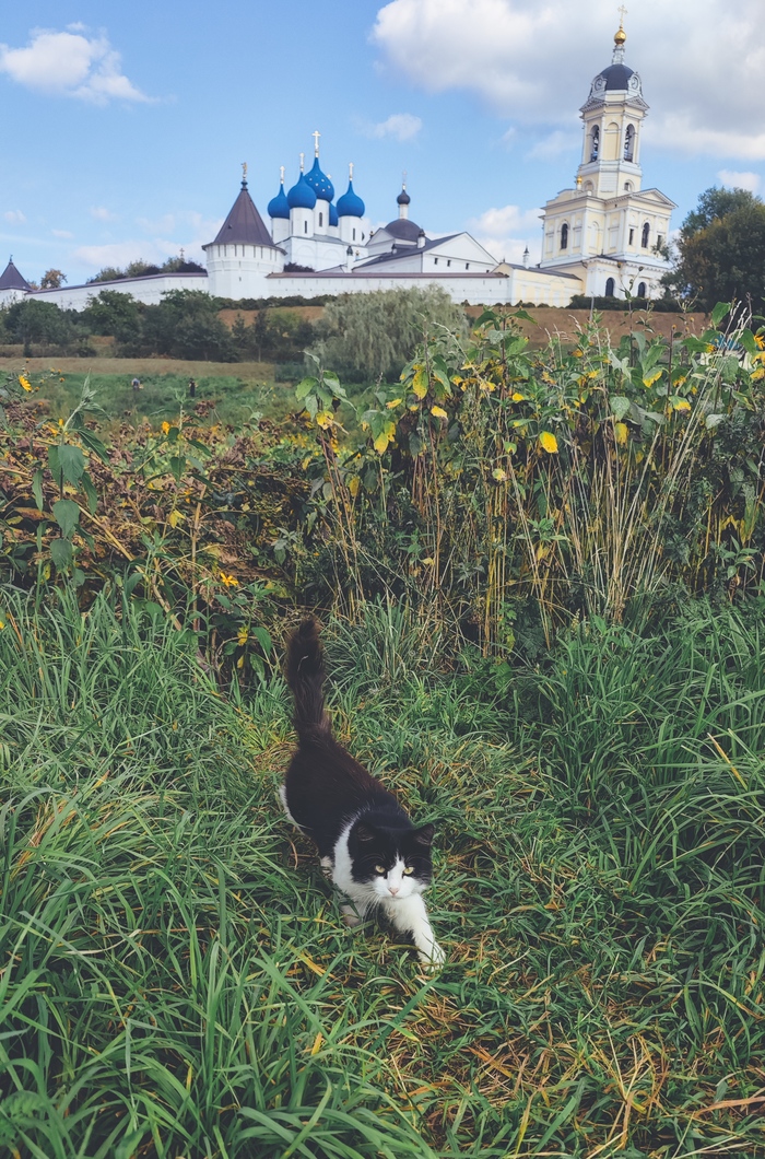 На окраинах