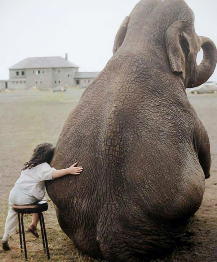 Любопытные фотографии из прошлого Великобритании. 20 раскрашенных фотографий ХХ века. Часть IV Историческое фото, Старое фото, Фотография, Великобритания, 20 век, 19 век, Колоризация, Длиннопост