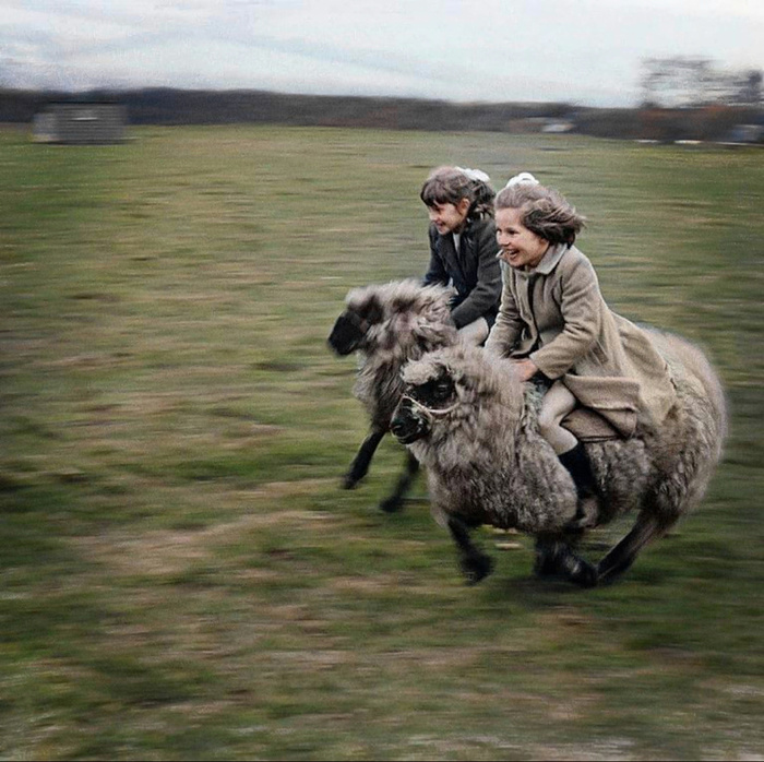 Любопытные фотографии из прошлого Великобритании. 20 раскрашенных фотографий ХХ века. Часть IV Историческое фото, Старое фото, Фотография, Великобритания, 20 век, 19 век, Колоризация, Длиннопост