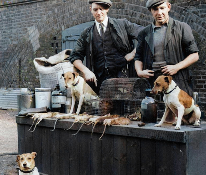 Любопытные фотографии из прошлого Великобритании. 20 раскрашенных фотографий ХХ века. Часть IV Историческое фото, Старое фото, Фотография, Великобритания, 20 век, 19 век, Колоризация, Длиннопост