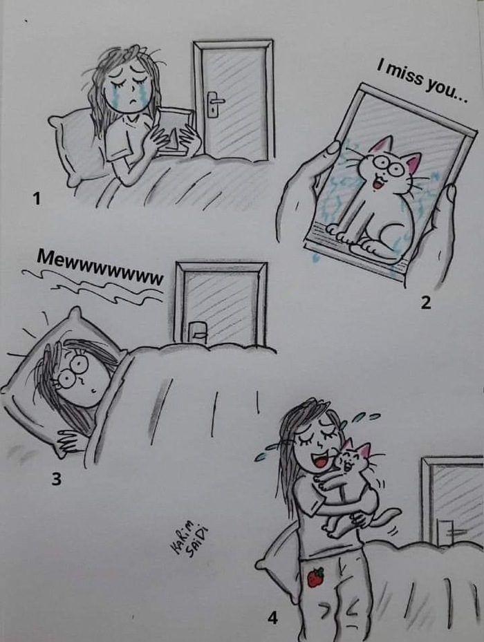   , 