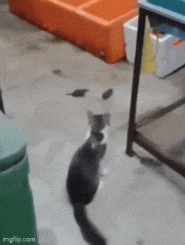   , , , 