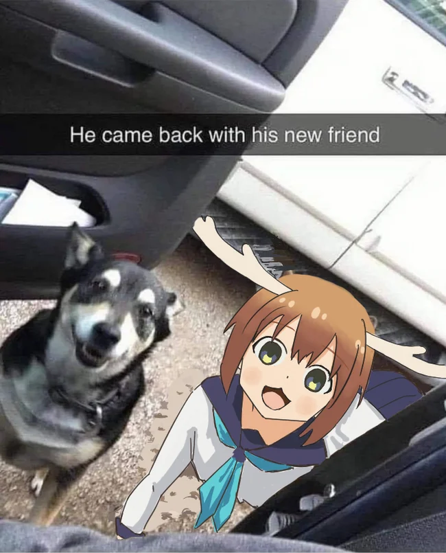 He's back with a new friend - Anime, Anime memes, Shikanoko Nokonoko Koshitantan, Dog, Shikanoko Noko