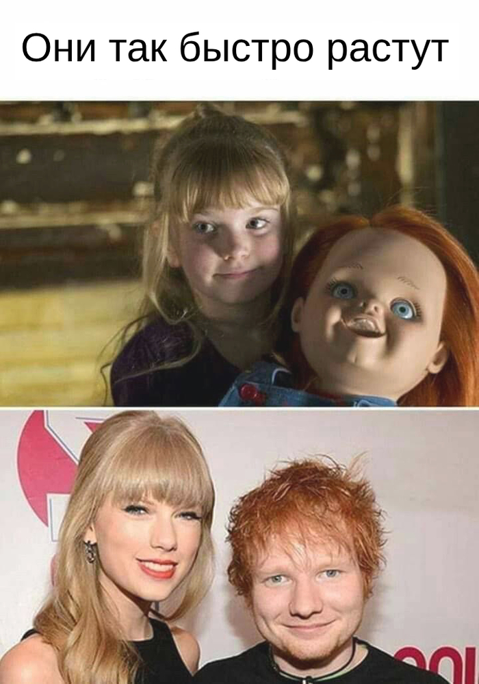 ���� - �����