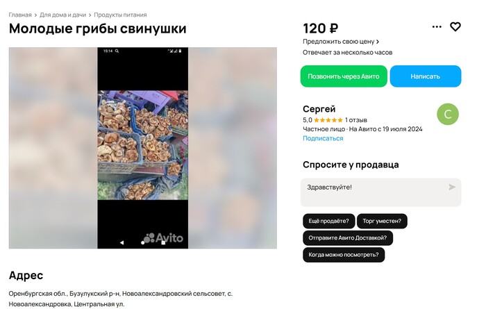 <!--noindex--><a href="https://pikabu.ru/story/skaz_o_tom_kak_avito_prodolzhaet_narushat_zakonyi_rf_i_nichego_im_za_yeto_ne_budet_11743485?u=https%3A%2F%2Fwww.avito.ru%2Fbuzuluk%2Fprodukty_pitaniya%2Fmolodye_griby_svinushki_4188934677&t=https%3A%2F%2Fwww.avito.ru%2Fbuzuluk%2Fprodukty_pitaniya%2Fmolodye_griby...&h=6d6e5637ab5ff982000420f000f4c4a5b016924b" title="https://www.avito.ru/buzuluk/produkty_pitaniya/molodye_griby_svinushki_4188934677" target="_blank" rel="nofollow noopener">https://www.avito.ru/buzuluk/produkty_pitaniya/molodye_griby...</a><!--/noindex-->